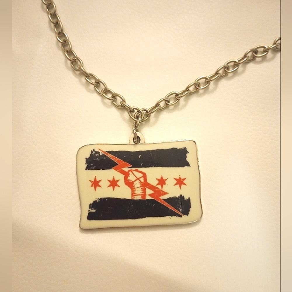 WWE CM punk best in the world chain